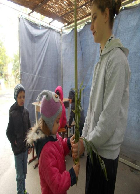 Блог от 1.11.2017