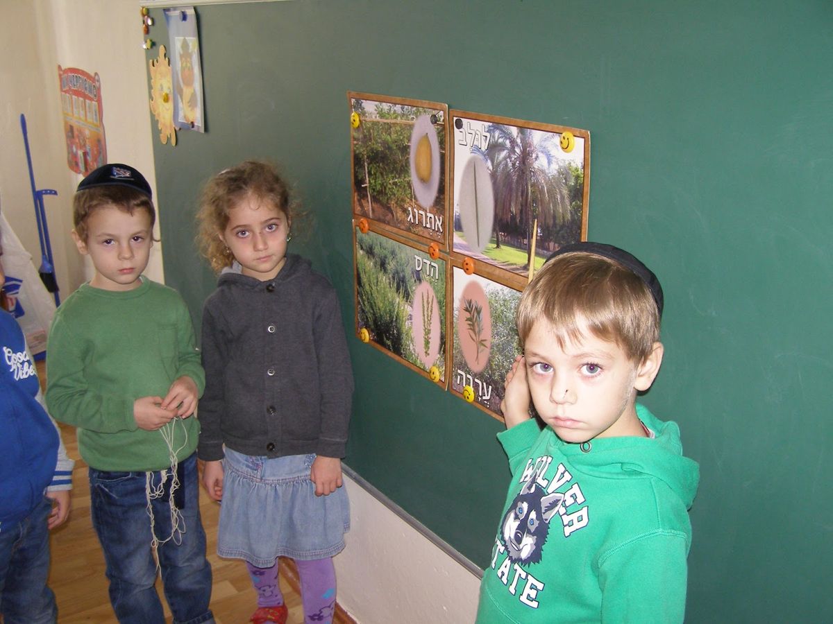 Блог от 1.11.2016