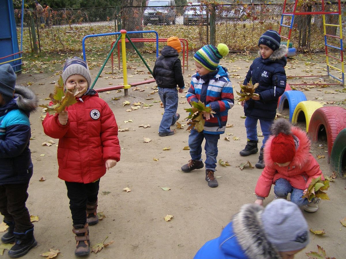 Блог от 15.11.2016