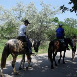 Летний лагерь 2012