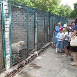 Летний лагерь 2014