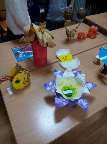 IMG_20171110_104719.jpg