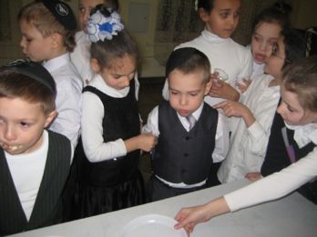 IMG_4032.jpg