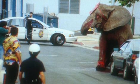 Нет ничего хуже неволи