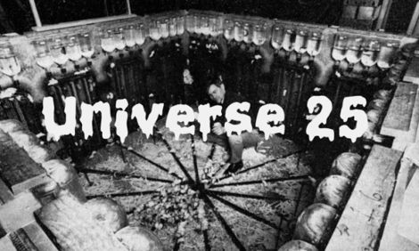 «Вселенная – 25»: как мышиный рай стал адом. Тонкости манипуляции сознанием «эпохи восстания элит»