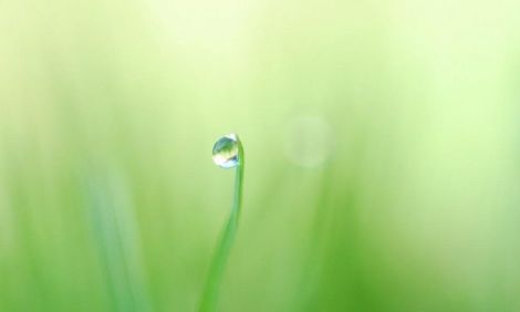 Как упростить жизнь: инструкция Лео Бабаута