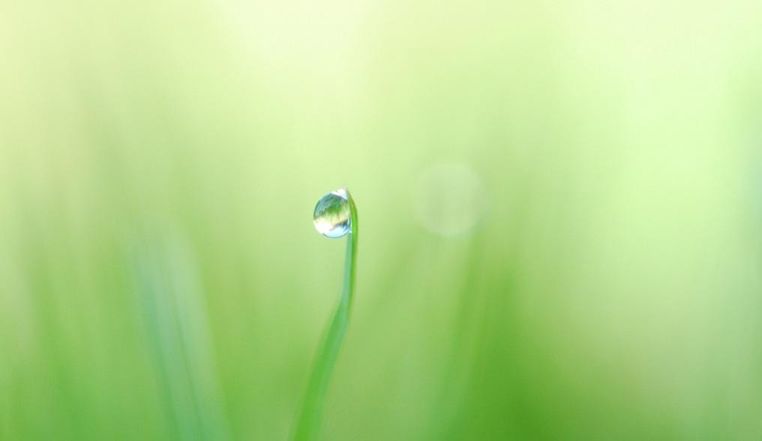 Как упростить жизнь: инструкция Лео Бабаута