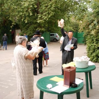 DSC_0040.JPG