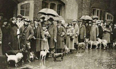 Бойтесь привычки убивать