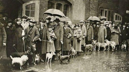 Бойтесь привычки убивать