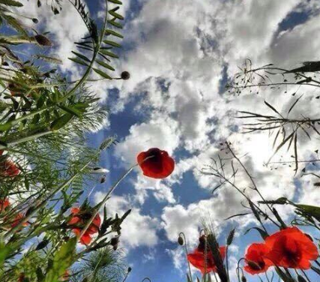 Это нельзя забывать, никогда…