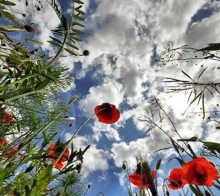 Это нельзя забывать, никогда…