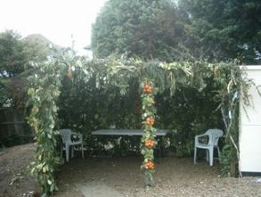 Каким должен быть шалаш?   