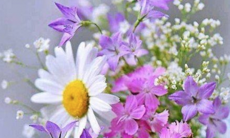 Не думай о плохом — заболеешь. Стоит прочитать каждому