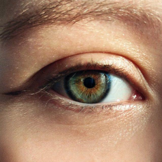 Смотри, думай, действуй. К главе «Рээ»