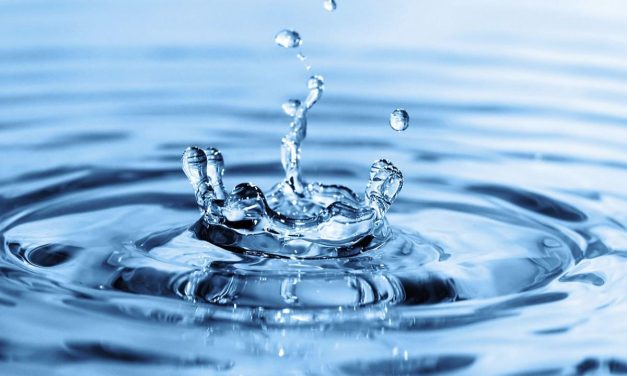  Каждому из нас ковчег праведности. К главе “Ноах”