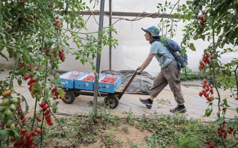 Расследование: жители Эйн а-Бесора за 20 минут отбили атаку ХАМАСа 7 октября