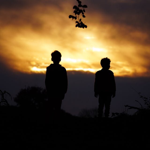 Близость душ – это счастье.  К главе “Ваигаш”