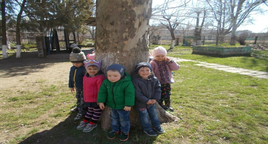 C:UsersSkarpenDesktopTRANSCENDфото от28.03.17DSCN4263.JPG