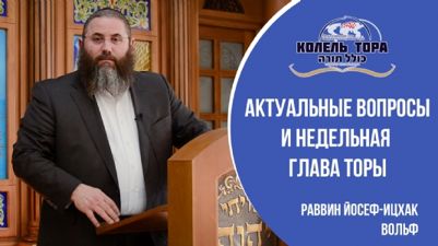 Куда катится мир – к лучшему или к худшему? Как правильно смотреть на жизненные события