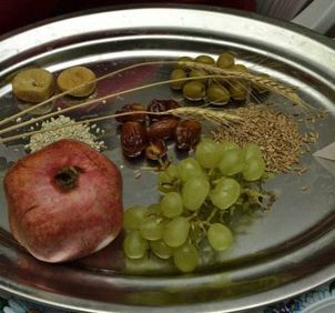 СЭДЭР ТУ-БИШВАТ В ХЕРСОНЕ 5775!