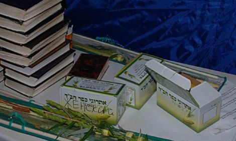 Симхат Бейт а-Шоева 5777 в Херсоне