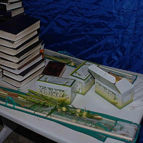 Симхат Бейт а-Шоева 5777 в Херсоне